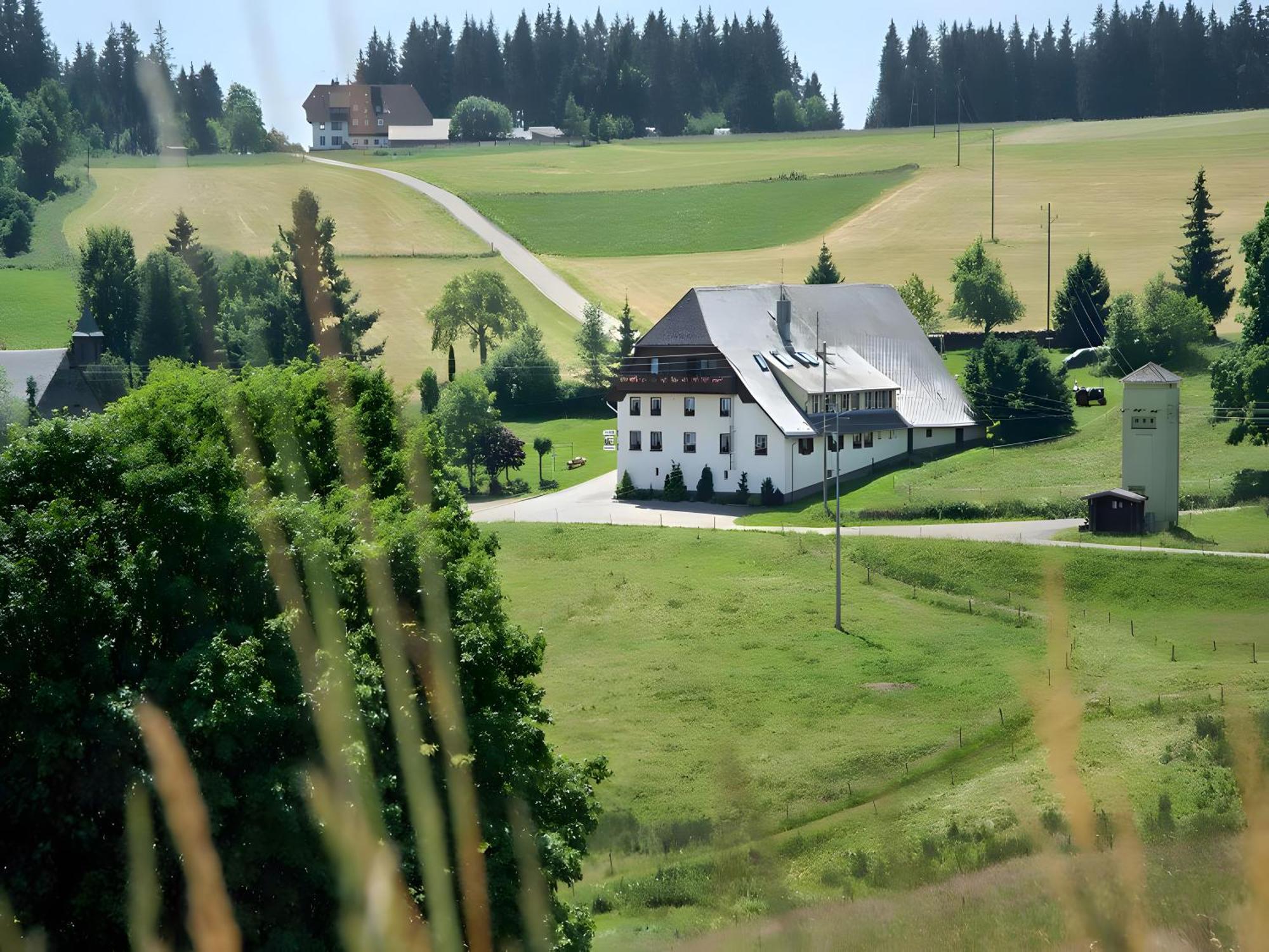 Gasthaus Pension Zum Löwen Grafenhausen Exterior foto