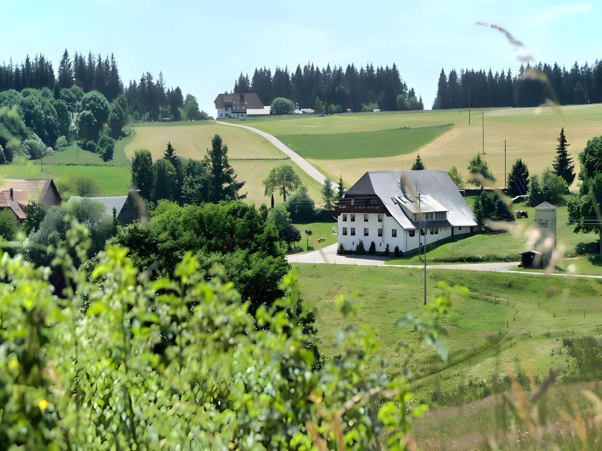 Gasthaus Pension Zum Löwen Grafenhausen Exterior foto