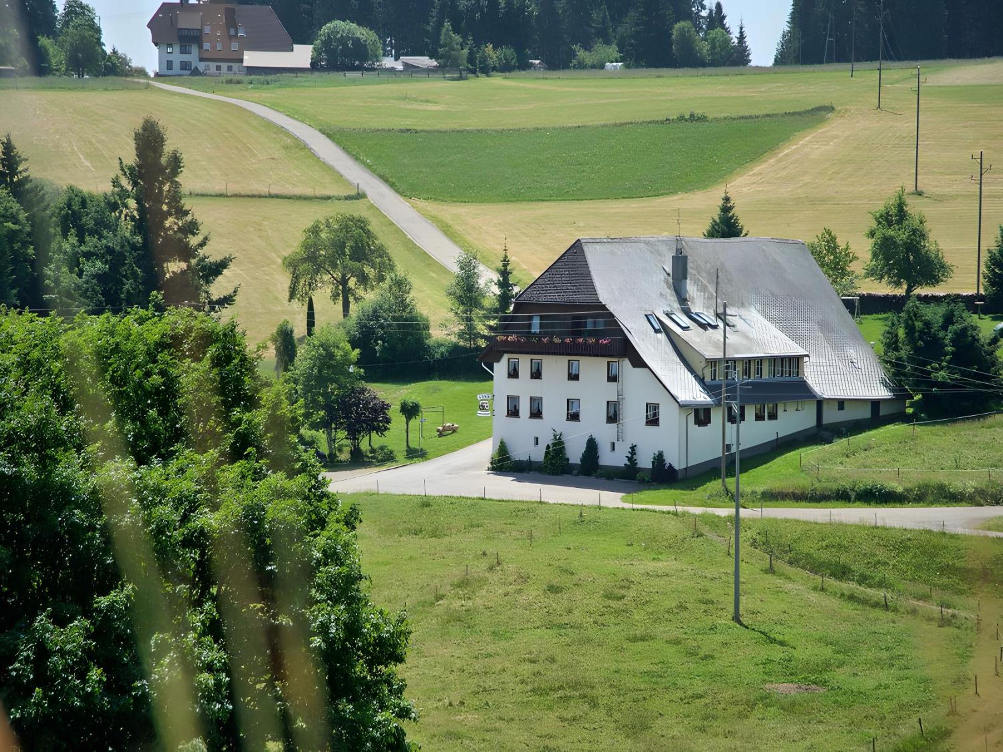 Gasthaus Pension Zum Löwen Grafenhausen Exterior foto